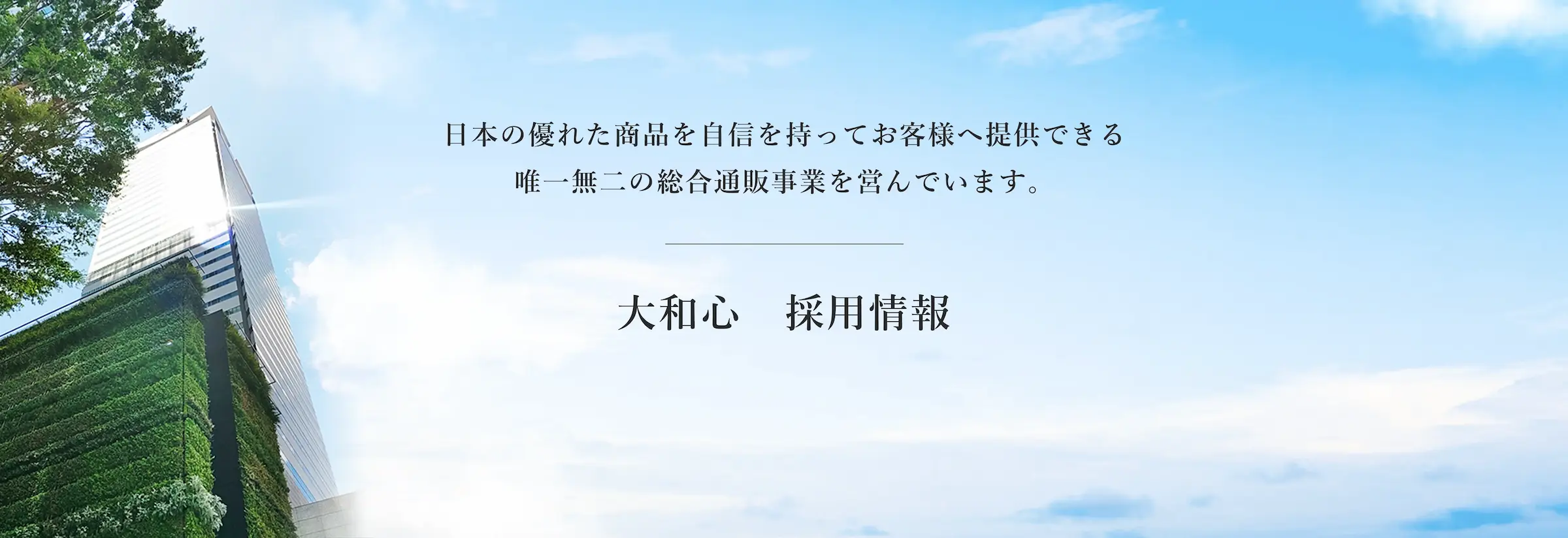 採用情報